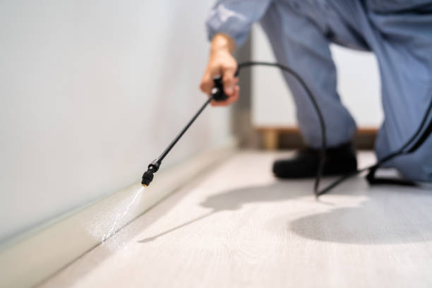 Licensed Termite Control service in Monroe County County, PA - Nex Pest Control