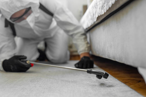Professional Termite Control technician working in Monroe County County, PA